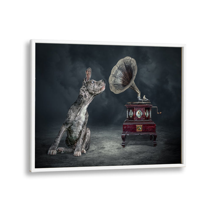 Surreal MUSIC DOG photography prints featuring a dog beside a vintage gramophone, perfect for art lovers.