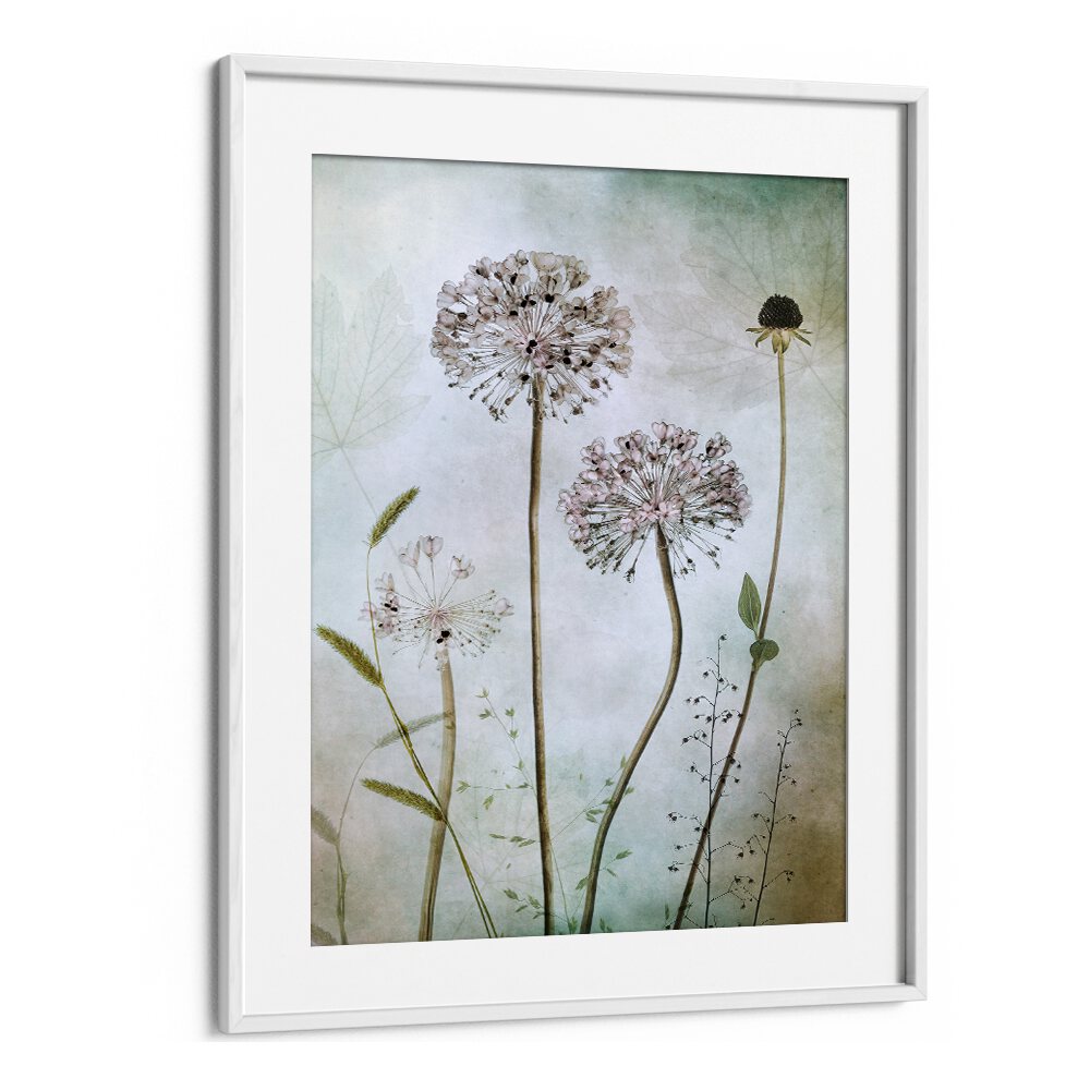 Elegant ALLIUM, FLORAL FLOWER PAINTINGS enhance home decor with sophistication and charm, perfect for any room.