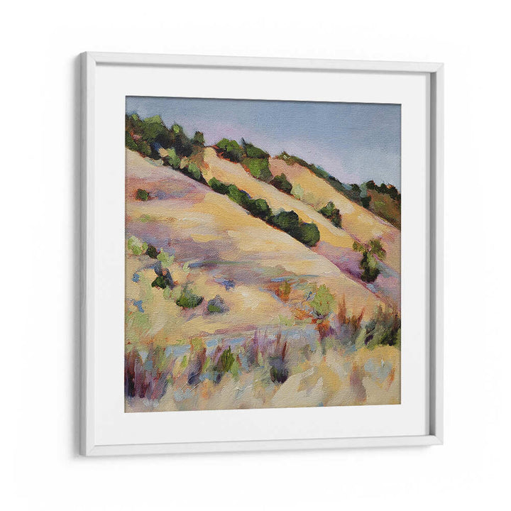 CENTRAL COAST , LANDSCAPE PAINTINGS