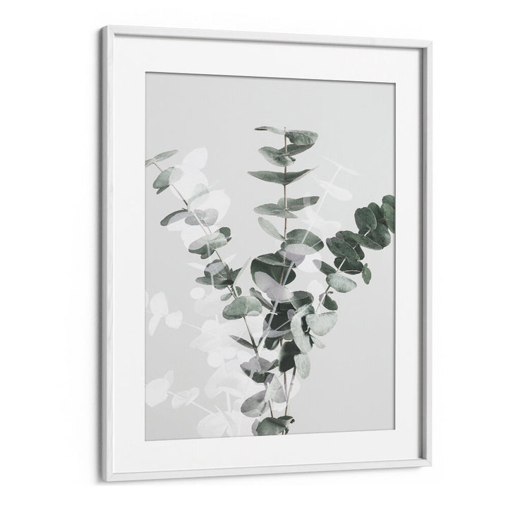 EUCALYPTUS CREATIVE VII, FLORAL FLOWER PAINTINGS showcase elegant eucalyptus leaves in a minimalist frame, perfect for decor.
