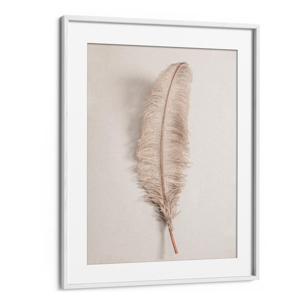 Stylish FEATHER II, BOHO ART PAINTINGS featuring a soft feather design, perfect for enhancing any modern space.