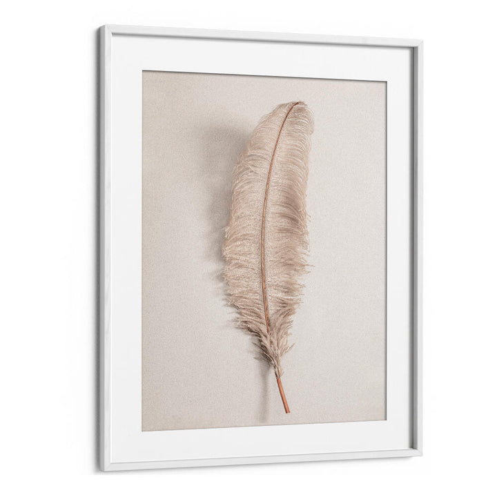 Stylish FEATHER II, BOHO ART PAINTINGS featuring a soft feather design, perfect for enhancing any modern space.