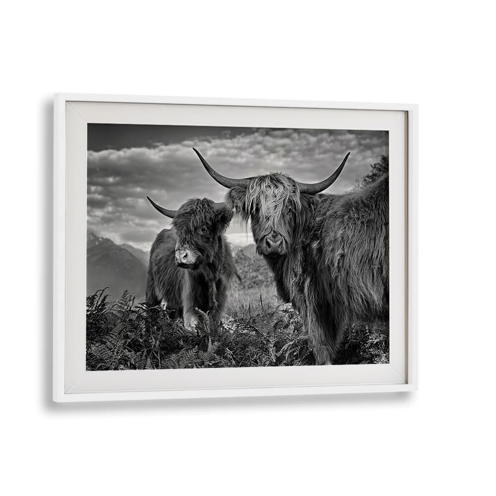 FRIENDS , PHOTOGRAPHY PRINTS