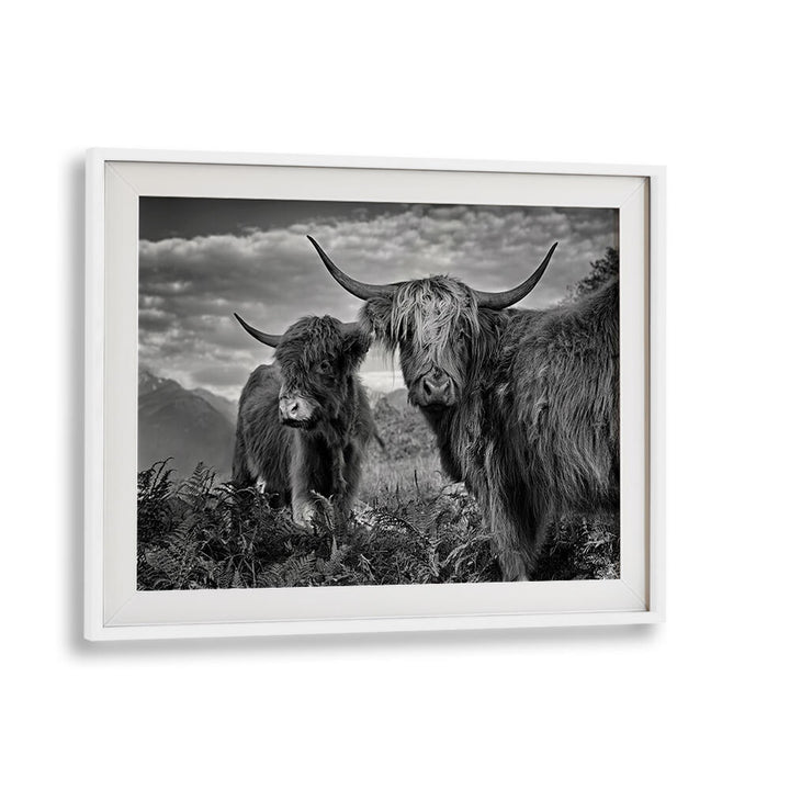 FRIENDS , PHOTOGRAPHY PRINTS
