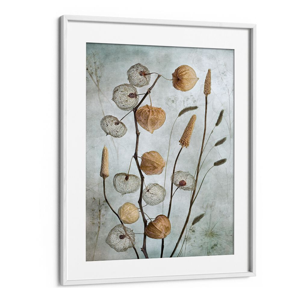 Elegant floral flower paintings complement our LANTERNS, enhancing any outdoor space with style and ambiance.