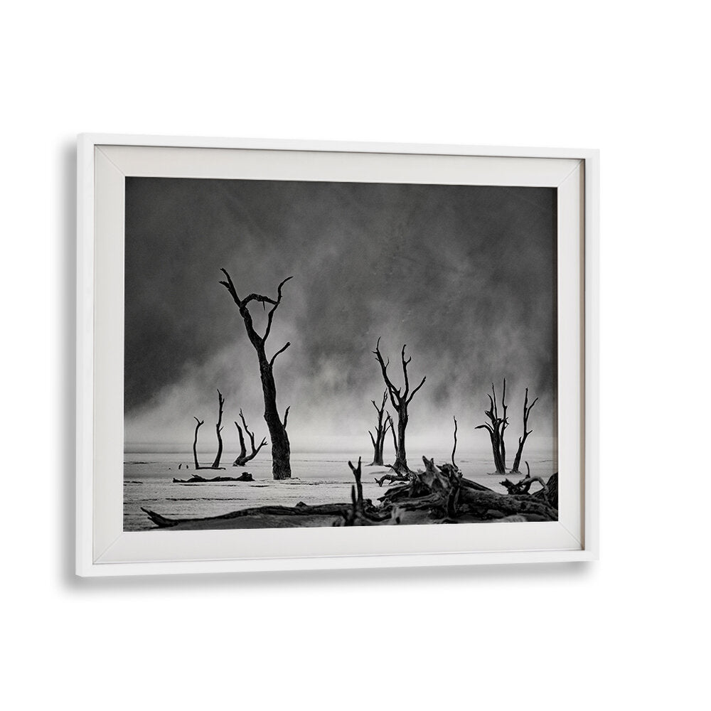 NAMIBIA - THE SPIRIT OF WILDERNESS III , PHOTOGRAPHY PRINTS