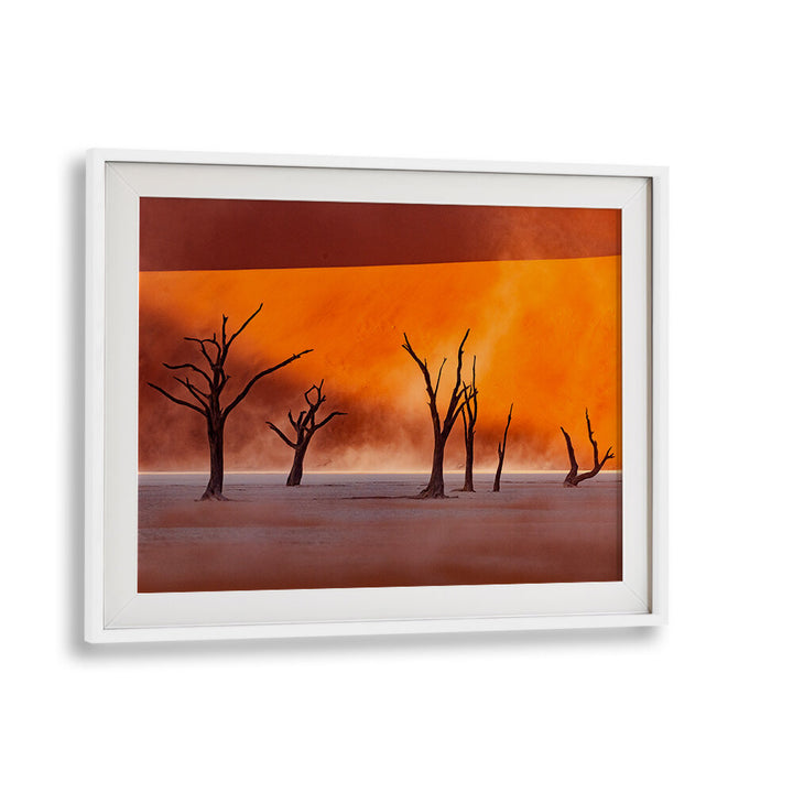 NAMIBIA - THE SPIRIT OF WILDERNESS II , PHOTOGRAPHY PRINTS