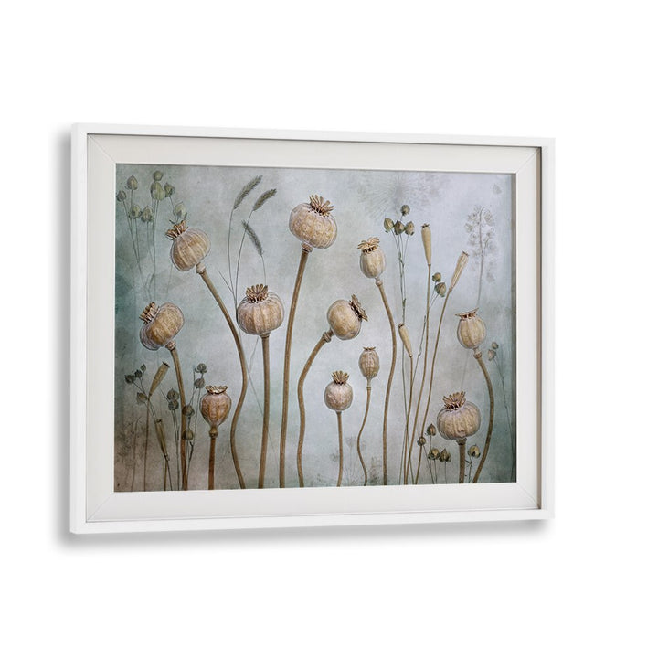 Elegant PAPAVER, FLORAL FLOWER PAINTINGS featuring delicate blossoms, perfect for enhancing your home decor.