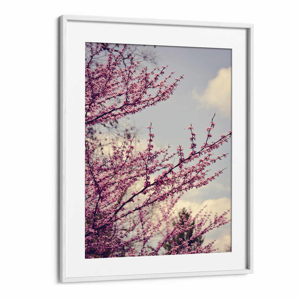 SPRING PHOTOGRAPH , FLORAL FLOWER PAINTINGS