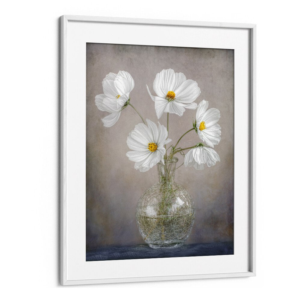 Elegant SIMPLY COSMOS, FLORAL FLOWER PAINTINGS featuring delicate white flowers in a vase, perfect for home decor.