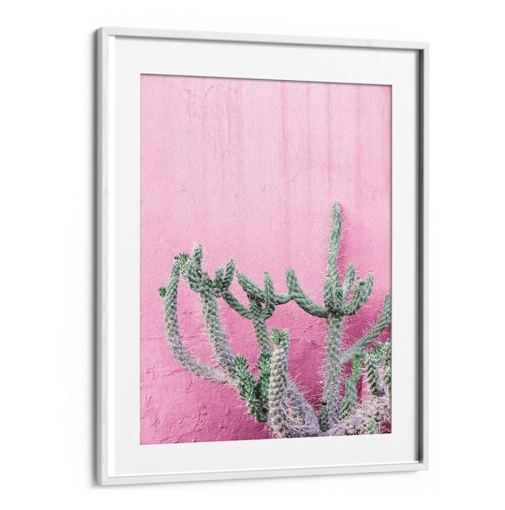 Stunning CACTUS ON PINK, FLORAL FLOWER PAINTINGS vibrant artwork perfect for brightening any space.