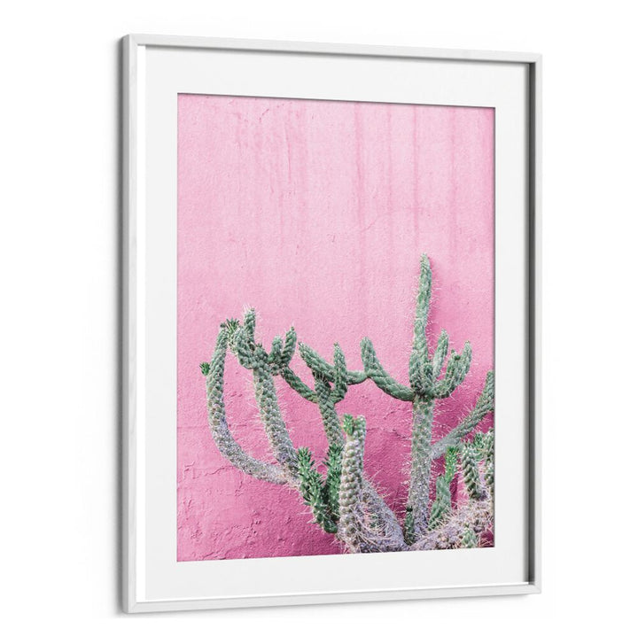 Stunning CACTUS ON PINK, FLORAL FLOWER PAINTINGS vibrant artwork perfect for brightening any space.