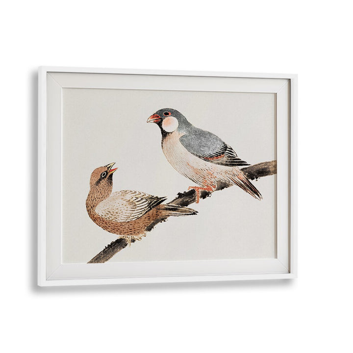 BIRDS FROM ALBUM OF SKETCHES (1814) , VINTAGE PAINTINGS