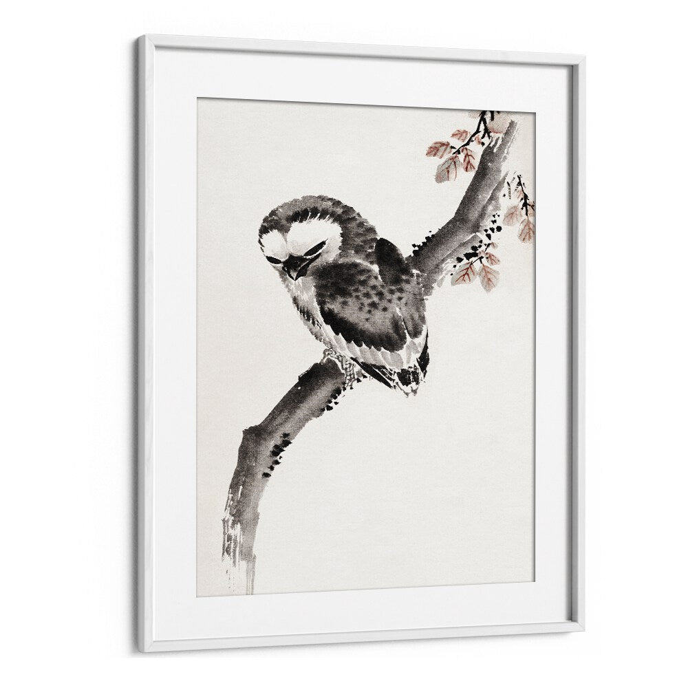 OWL ALBUM OF SKETCHES , VINTAGE PAINTINGS