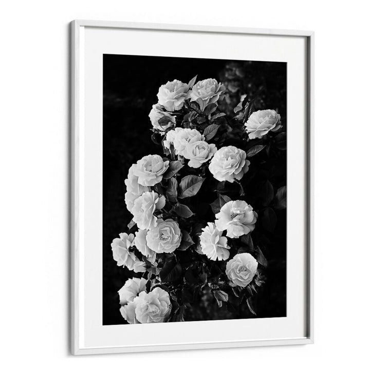 Stunning ROSE BUSH showcased in elegant FLORAL FLOWER PAINTINGS, perfect for enhancing any garden aesthetic.