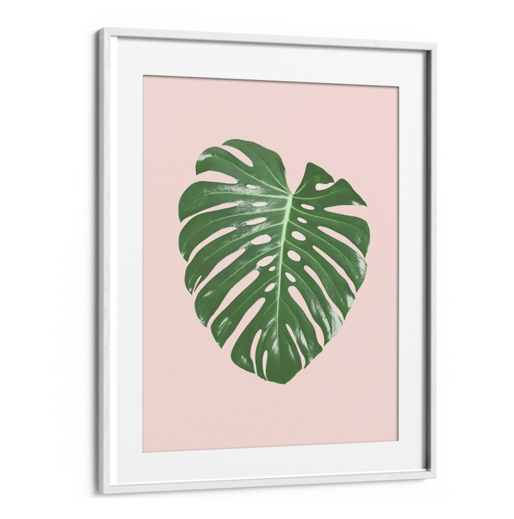 MONSTERA LEAF BLUSH, FLORAL FLOWER PAINTINGS, showcasing tropical elegance on a soft pink background for vibrant decor.