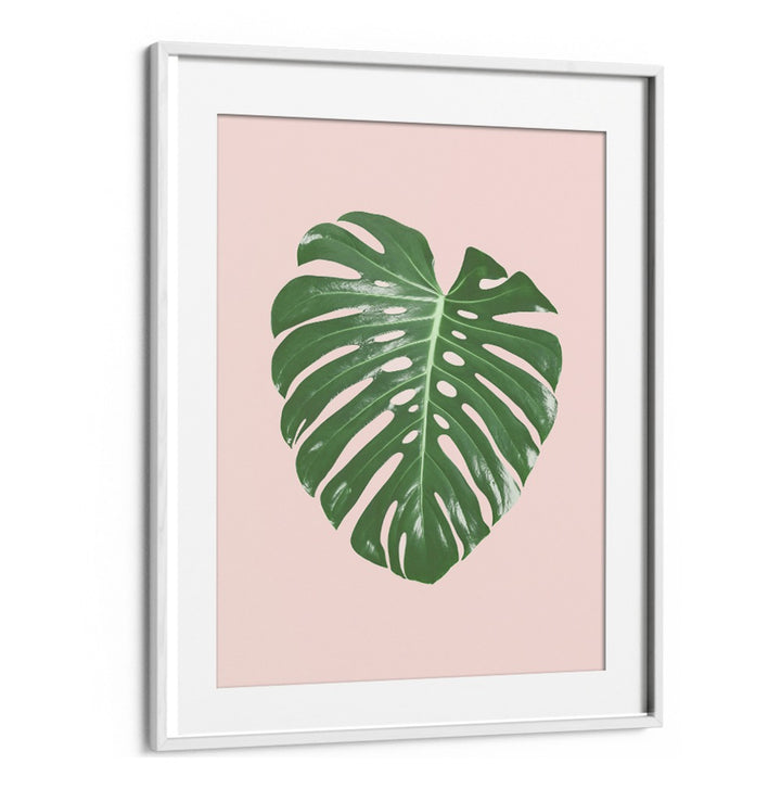 MONSTERA LEAF BLUSH, FLORAL FLOWER PAINTINGS, showcasing tropical elegance on a soft pink background for vibrant decor.
