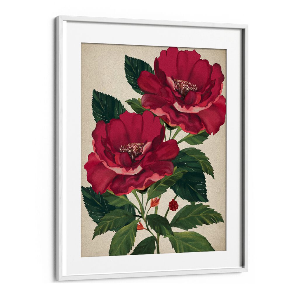 Vibrant ROSE OF PROVIDENCE, FLORAL FLOWER PAINTINGS bring elegance and beauty to any space, perfect for gifting.