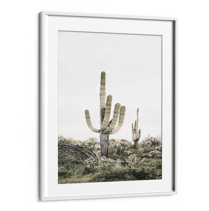 Vibrant PINK SAGUARO, COWBOY painting showcasing stylish decor inspired by iconic cacti, perfect for modern spaces.