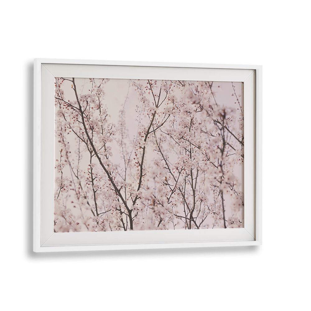 Delicate SPRING BLOSSOMS in a framed painting, perfect for adding charm to any space with FLORAL FLOWER PAINTINGS.