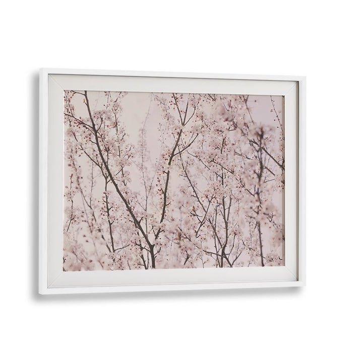 Delicate SPRING BLOSSOMS in a framed painting, perfect for adding charm to any space with FLORAL FLOWER PAINTINGS.