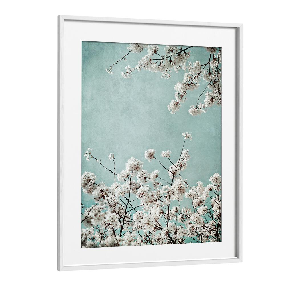 Elegant SPRING TIME, FLORAL FLOWER PAINTINGS showcasing delicate blossoms against a serene blue backdrop. Perfect for any decor.
