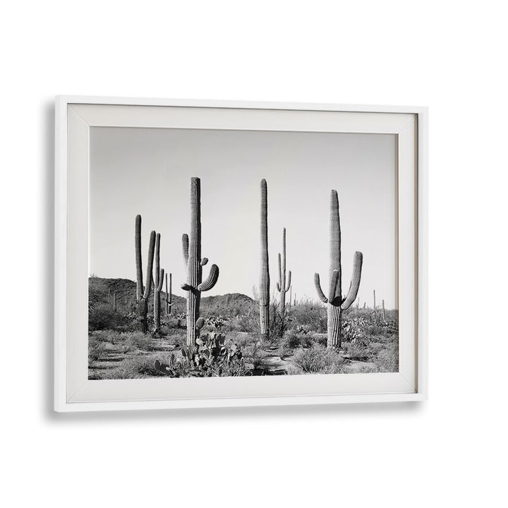 Elegant GREY CACTUS LAND, COWBOY painting showcasing desert beauty, perfect for modern decor enthusiasts.