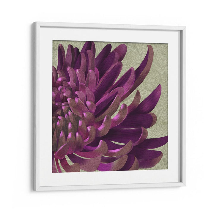Chrysanthemum Purple, floral flower paintings showcasing rich purple hues to enhance any home decor.