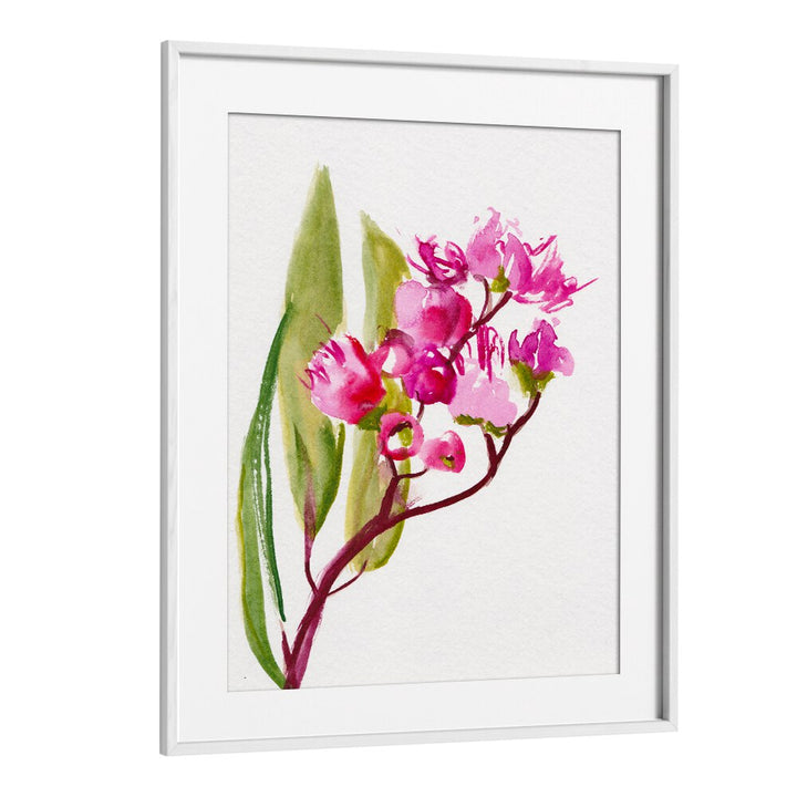 EUCALYPTUS , FLORAL FLOWER PAINTINGS