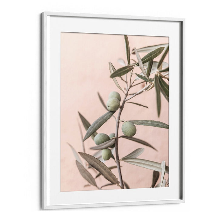 Elegant OLIVES, FLORAL FLOWER PAINTINGS showcasing handpicked olives against a soft pink backdrop for stylish decor.