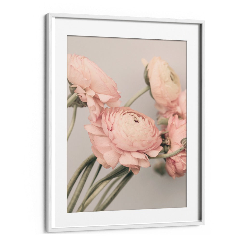 Delicate pink roses in a sleek frame embody elegance in ROSE III, FLORAL FLOWER PAINTINGS for your collection.