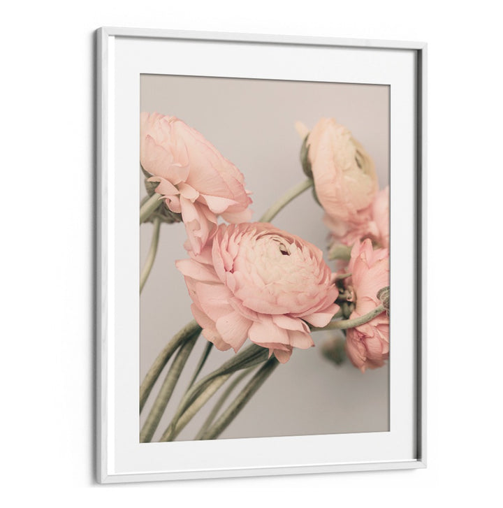 Delicate pink roses in a sleek frame embody elegance in ROSE III, FLORAL FLOWER PAINTINGS for your collection.