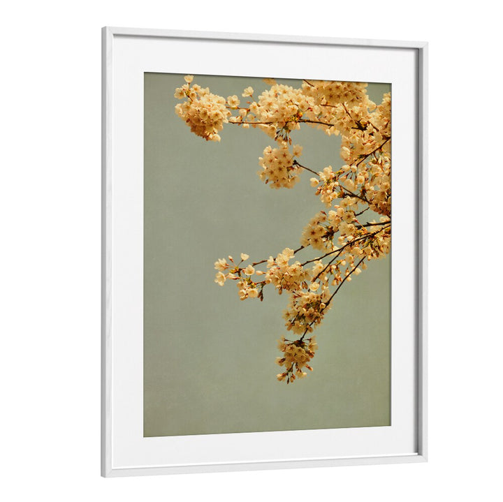 Delicate yellow blossoms against a soft backdrop in our SPRING MORNING, FLORAL FLOWER PAINTINGS collection.