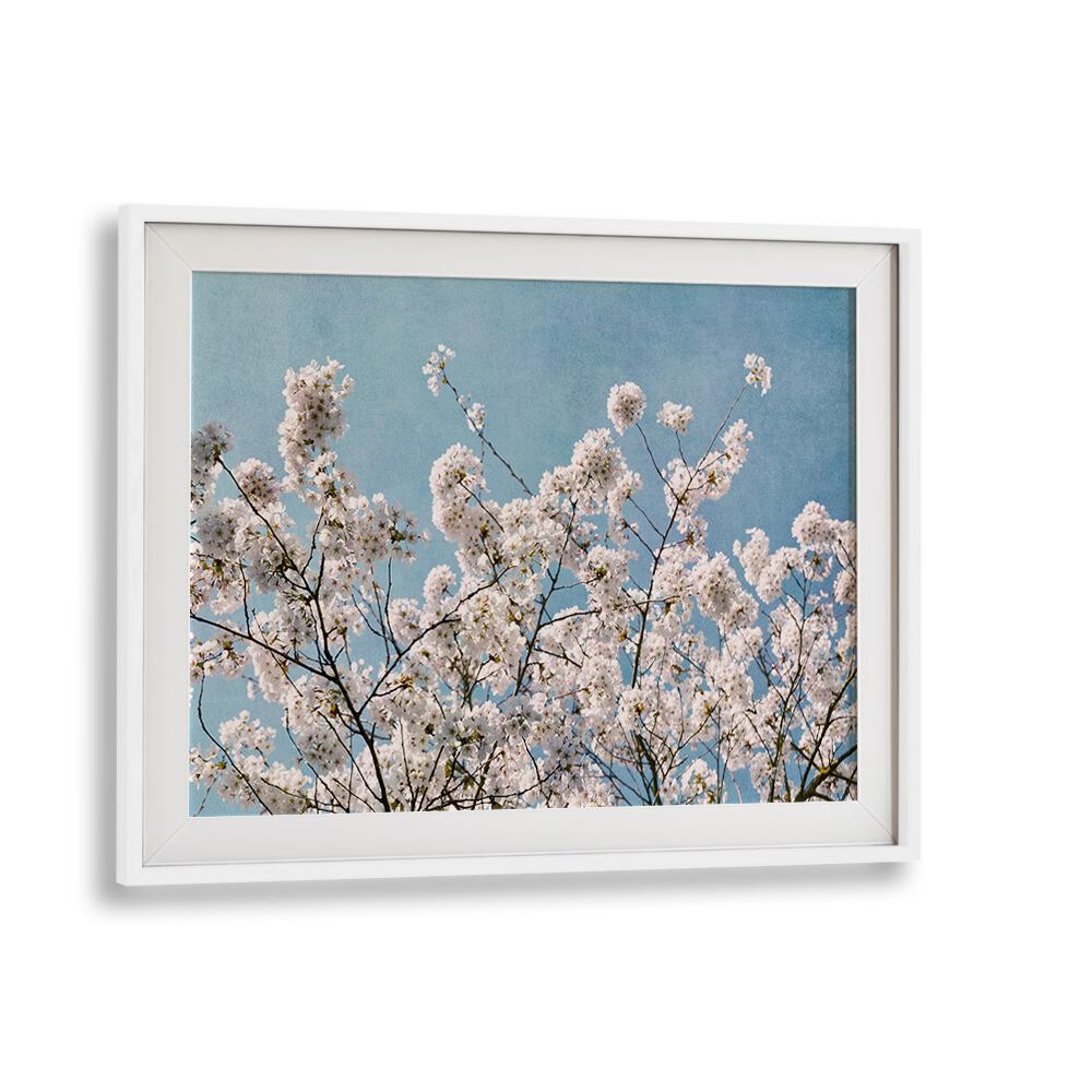 Delicate pink flowers against a serene blue sky in BLUE SKY BLOSSOMS, FLORAL FLOWER PAINTINGS collection for home decor.