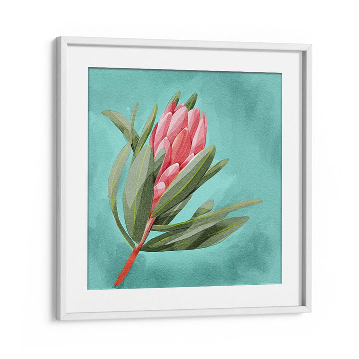 Colorful PROTEA, FLORAL FLOWER PAINTINGS showcasing elegance, perfect for modern home decor at your favorite store.