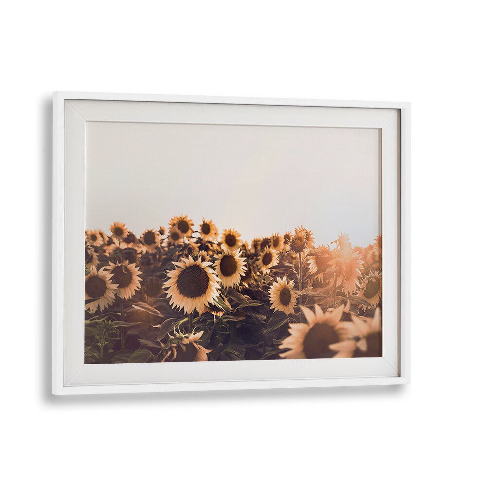 Vibrant SUNFLOWERS II, FLORAL FLOWER PAINTINGS brighten any space with warmth and positivity. Perfect for home decor.