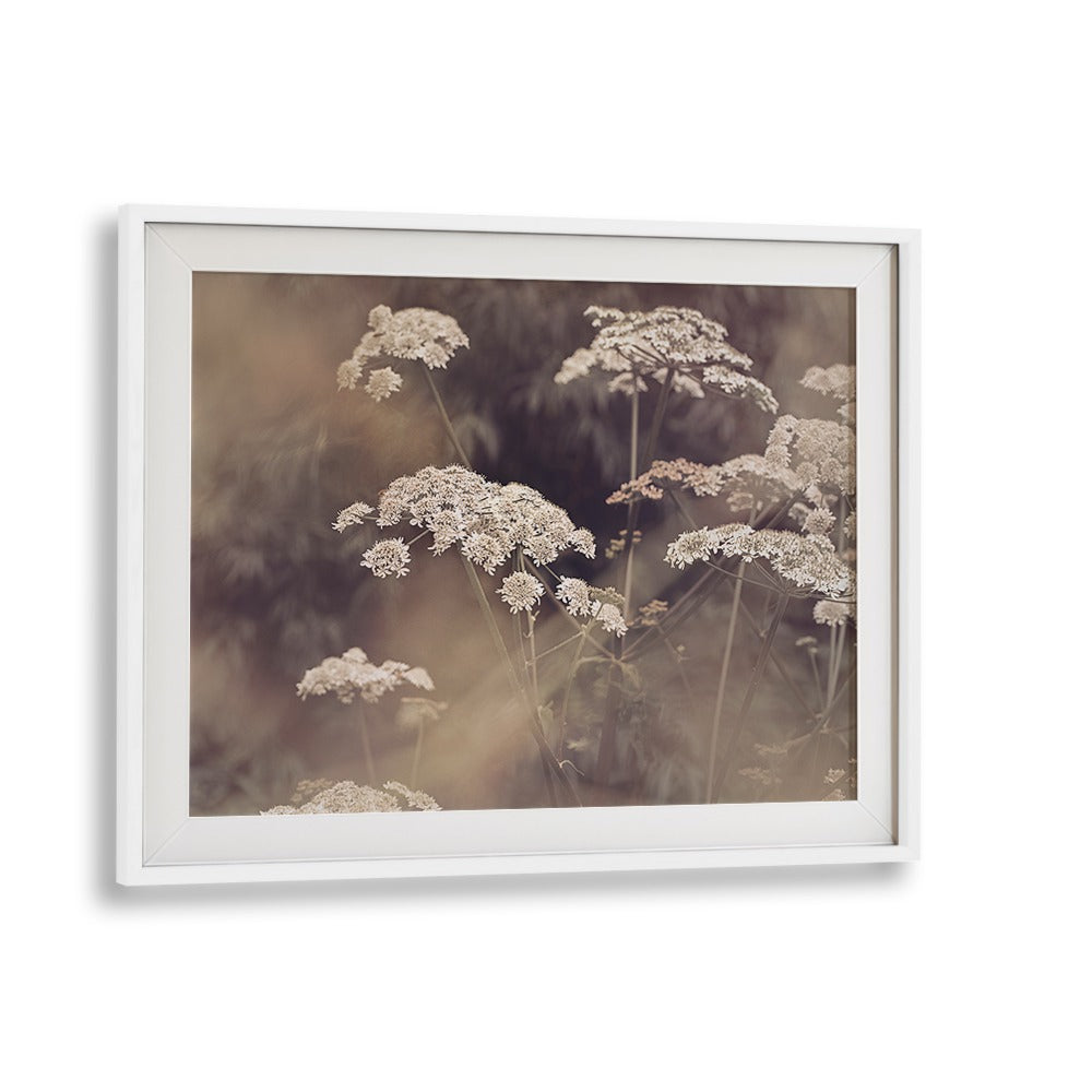 Elegant WILD PARSLEY, FLORAL FLOWER PAINTINGS capture nature's beauty, perfect for enhancing your home decor.