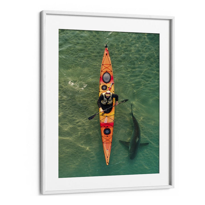 Kayaker gliding alongside a shark in clear waters, highlighted in INTIMATE SHARK ENCOUNTER, PHOTOGRAPHY PRINTS.
