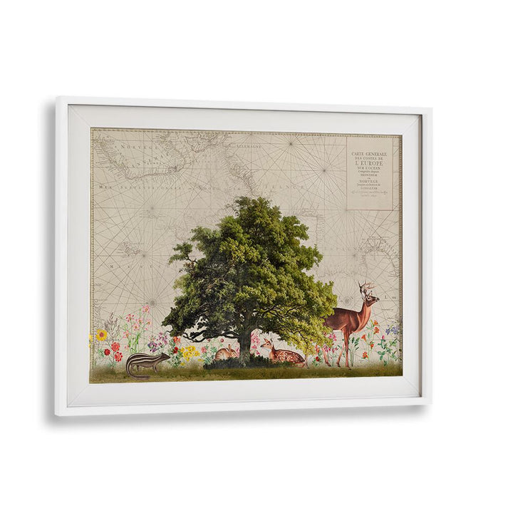 Explore the beauty of nature with NORDIC WOODS II, ANIMAL PAINTINGS by Andrea Haase, featuring serene woodland wildlife.