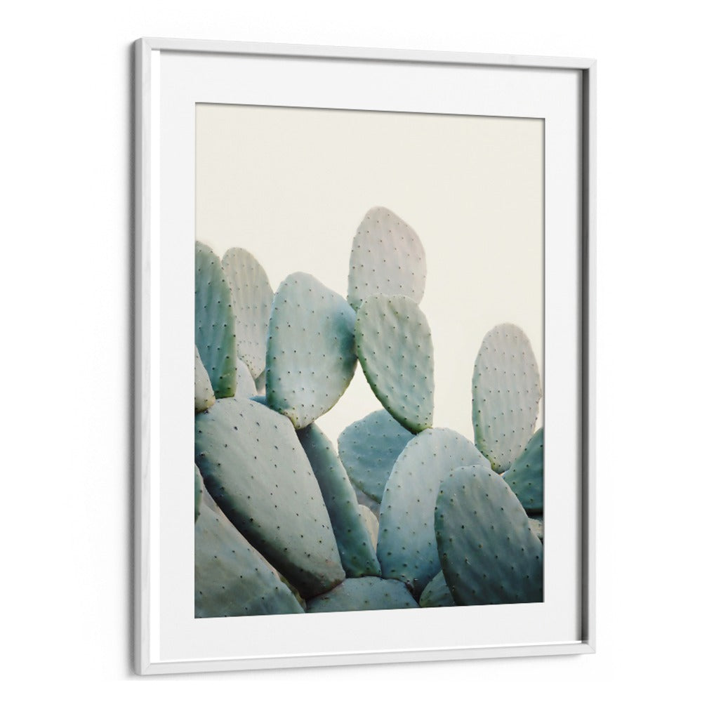 Vibrant PASTEL CACTI in a beautiful presentation, perfect for enhancing your home decor with floral flower paintings.