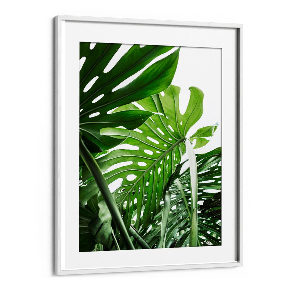 Lush green leaves capture the essence of JUNGLE, FLORAL FLOWER PAINTINGS, perfect for nature lovers.