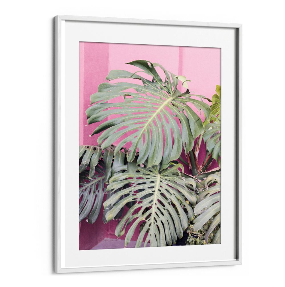 Stunning MONSTERA LEAF LA MURALLA, FLORAL FLOWER PAINTINGS bringing tropical beauty to your living space.