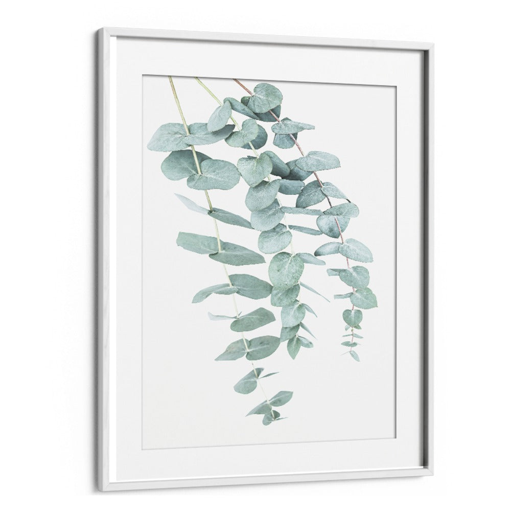 EUCALYPTUS I, FLORAL FLOWER PAINTINGS showcase elegant eucalyptus leaves, perfect for uplifting any living space.
