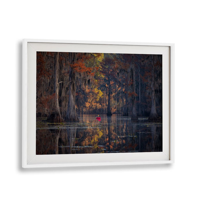 Serene CADDO LAKE 2023, PHOTOGRAPHY PRINTS showcasing vibrant landscapes and tranquil waters. Perfect for nature lovers!