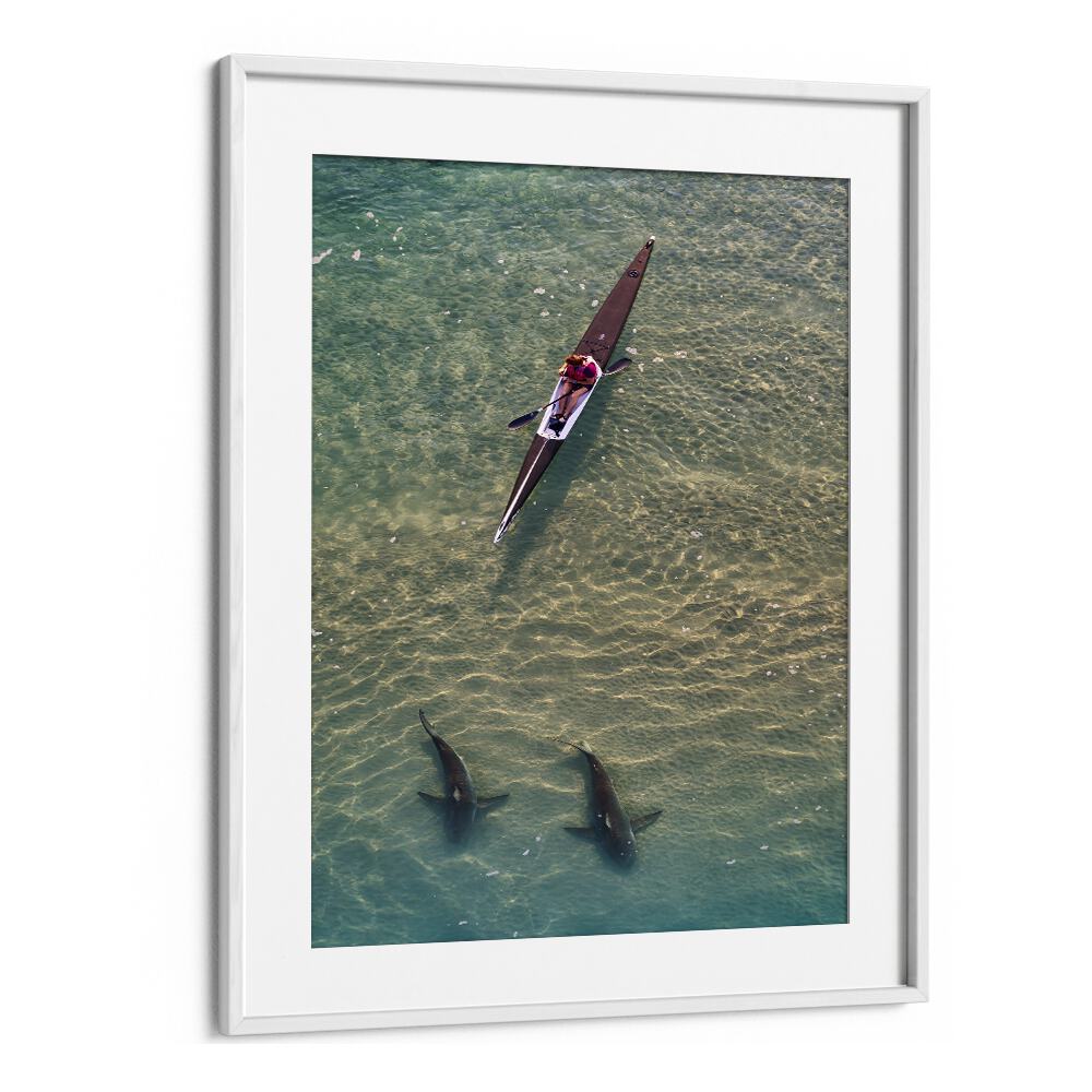 Two sharks swim beneath a kayak in vibrant waters, showcasing the thrill of SHARKS COMPANION, PHOTOGRAPHY PRINTS.