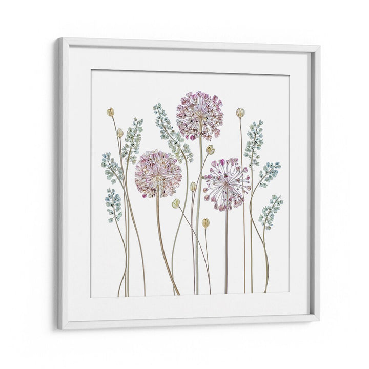 Elegant ALLIUM II, FLORAL FLOWER PAINTINGS featuring delicate blooms, perfect for enhancing your home décor.