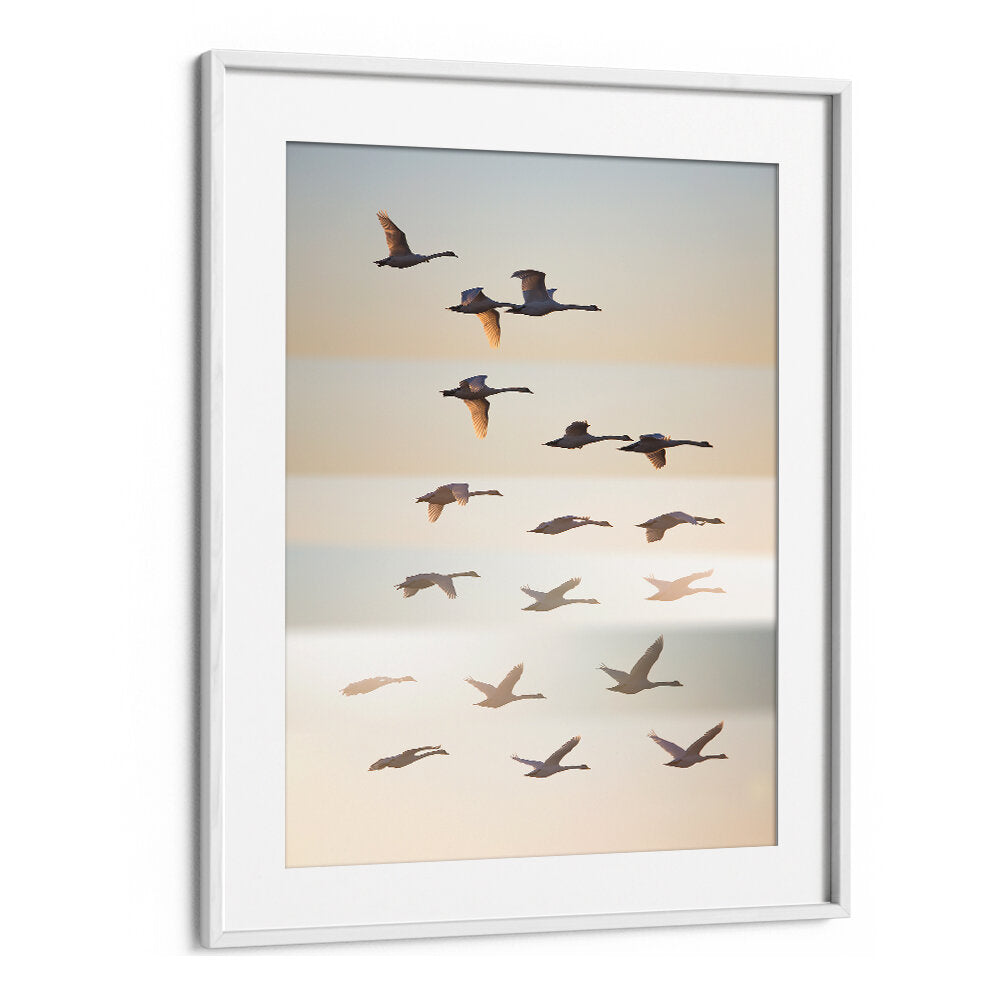 PAST THE SUN , PHOTOGRAPHY PRINTS