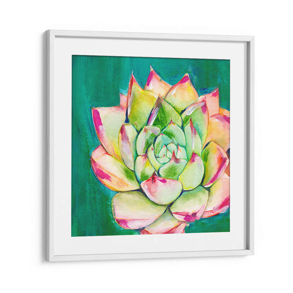 SUCCULENT I LARGE , FLORAL FLOWER PAINTINGS