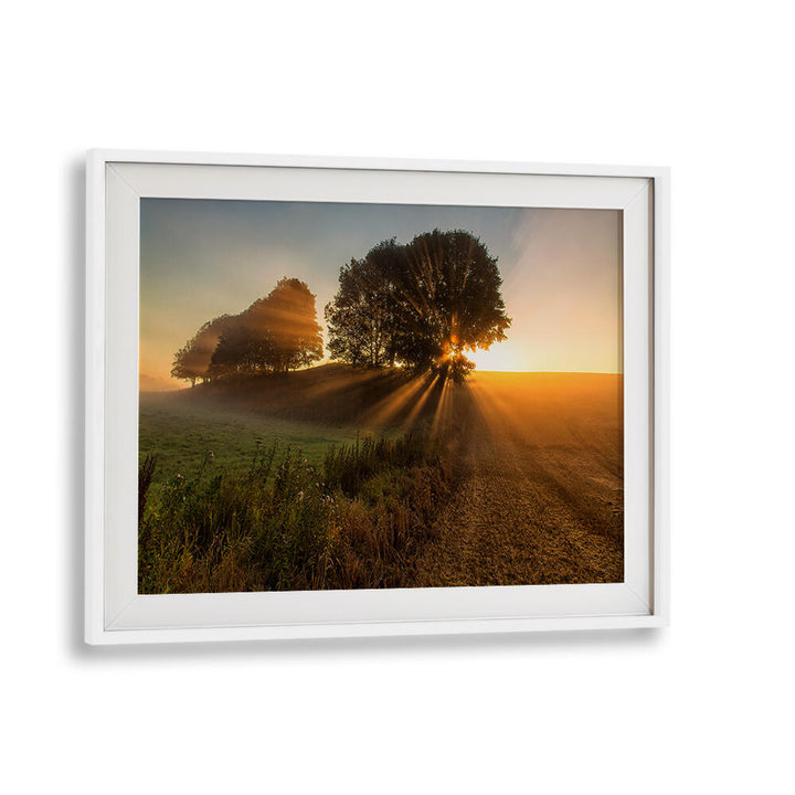 SUNBEAMS , PHOTOGRAPHY PRINTS