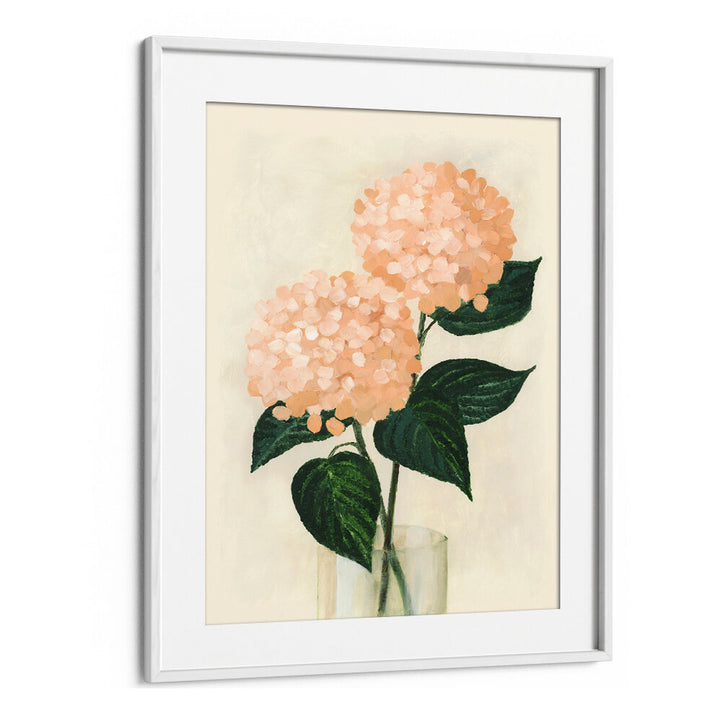 CORAL HYDRANGEAS IN A VASE , FLORAL FLOWER PAINTINGS